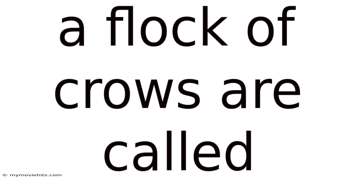 A Flock Of Crows Are Called