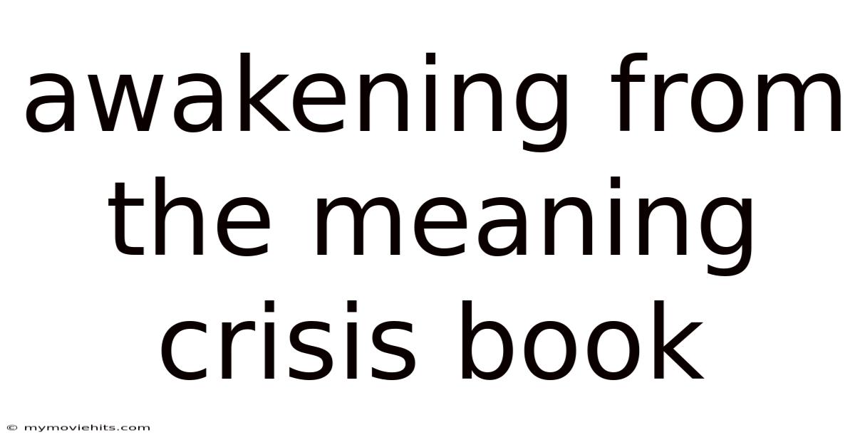Awakening From The Meaning Crisis Book