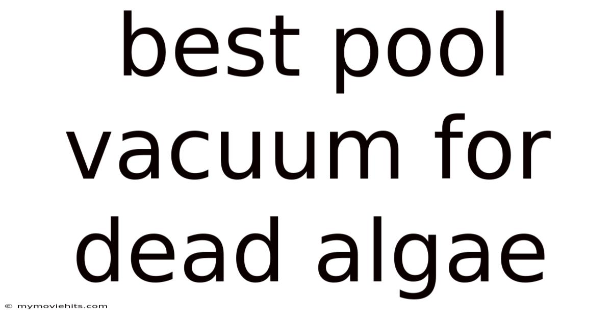 Best Pool Vacuum For Dead Algae