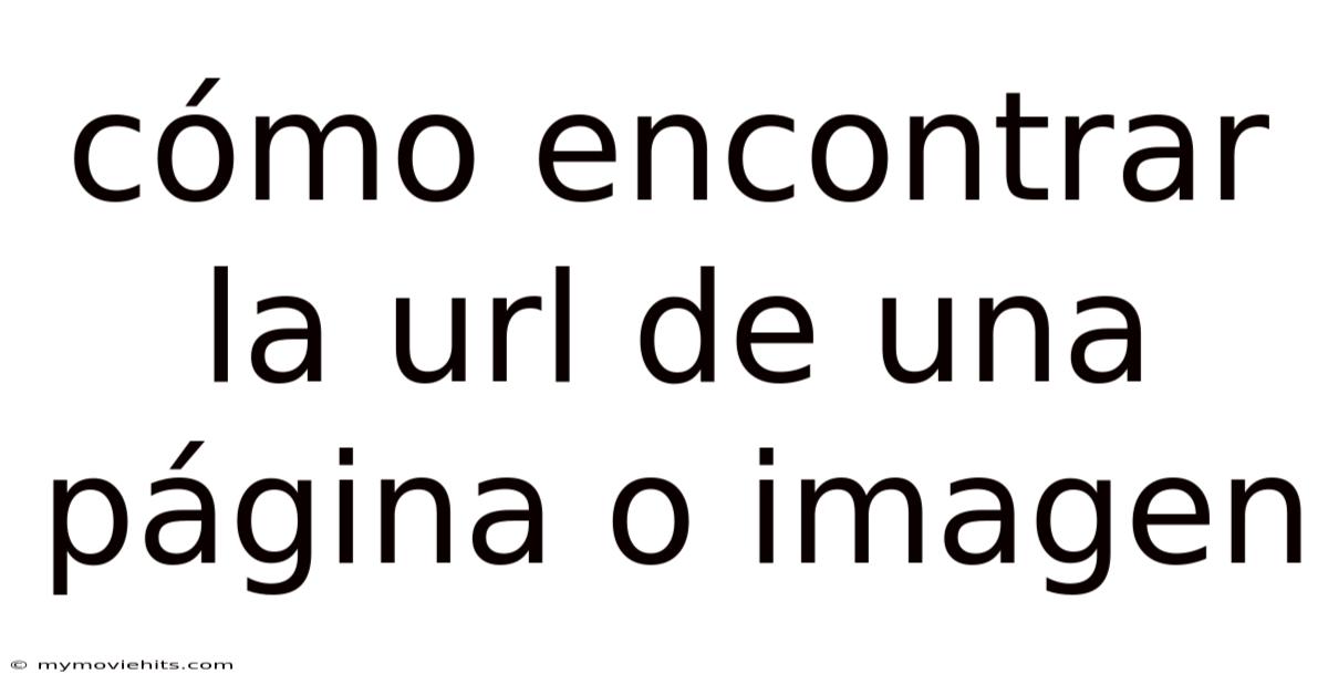 Cómo Encontrar La Url De Una Página O Imagen