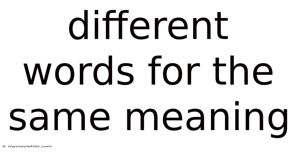 Different Words For The Same Meaning