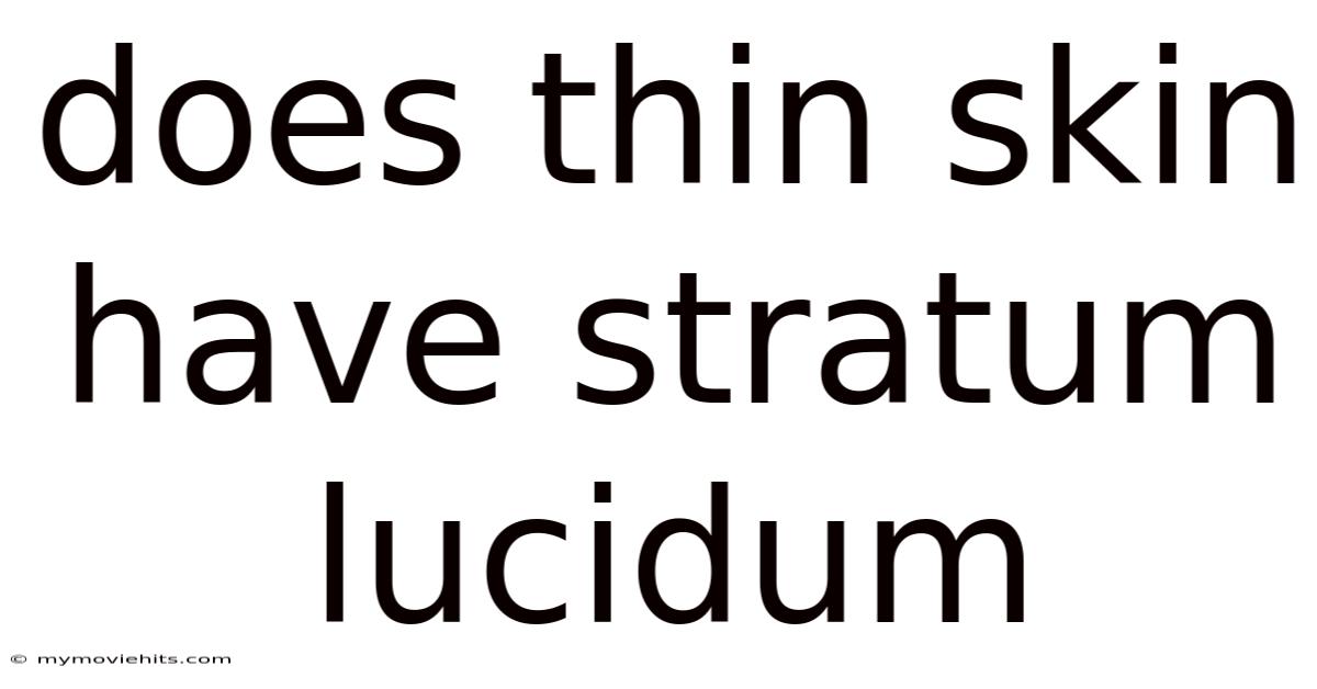 Does Thin Skin Have Stratum Lucidum