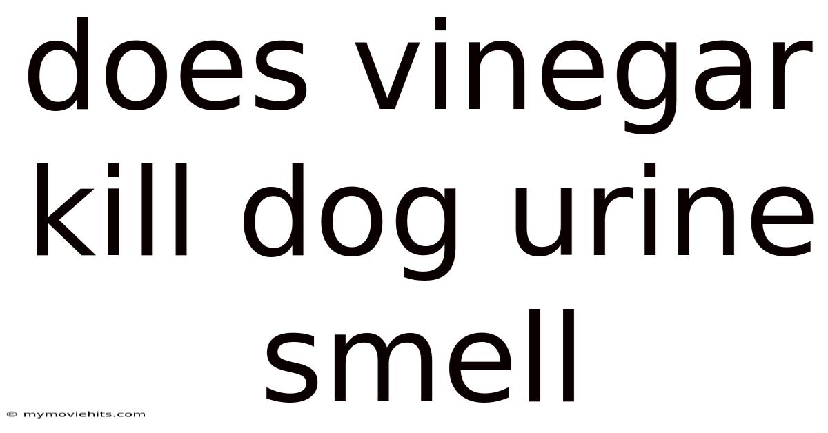 Does Vinegar Kill Dog Urine Smell