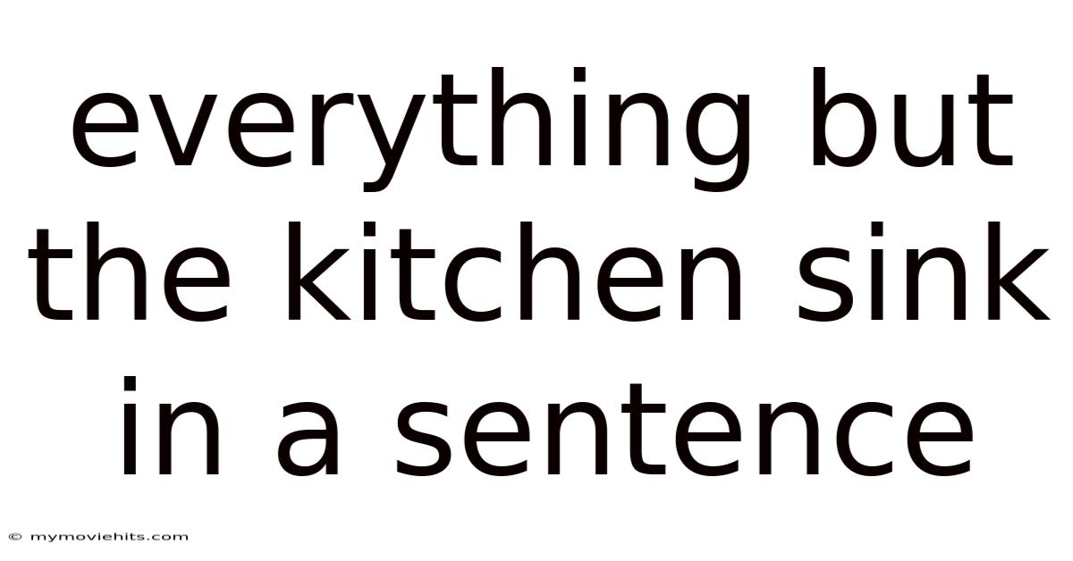 Everything But The Kitchen Sink In A Sentence