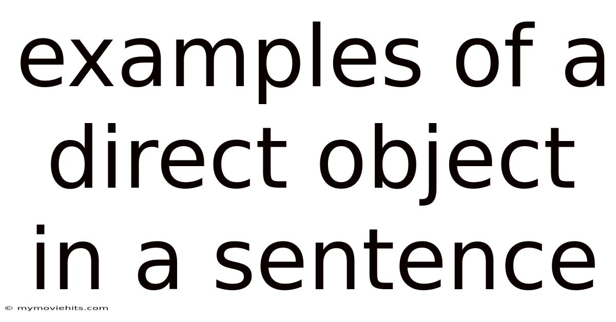 Examples Of A Direct Object In A Sentence