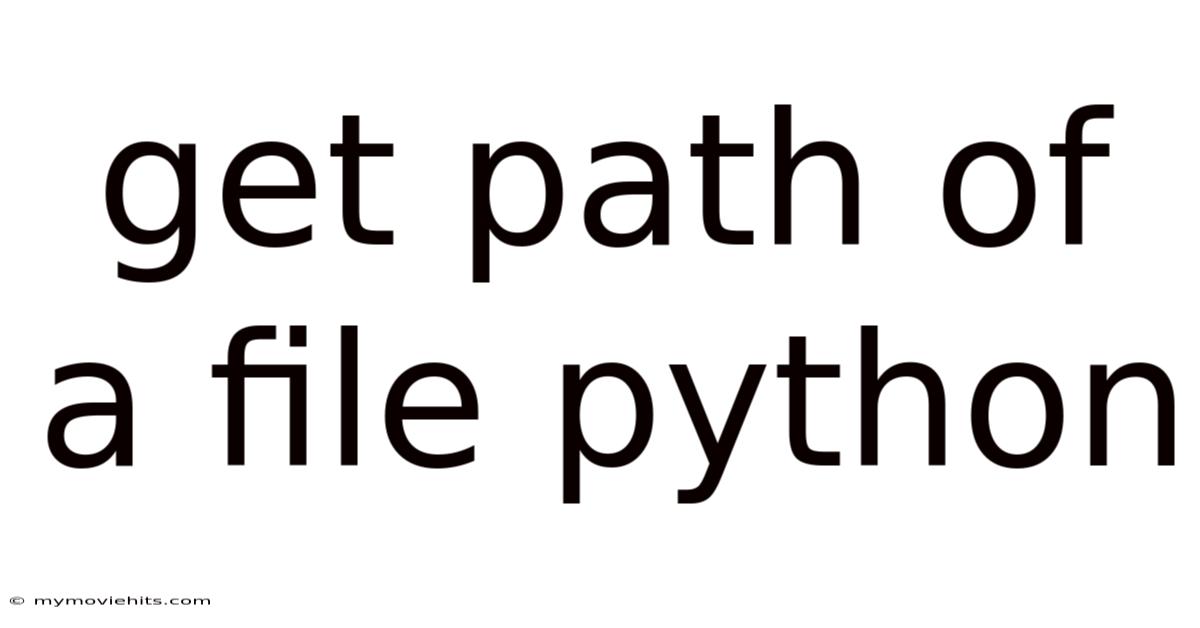 Get Path Of A File Python