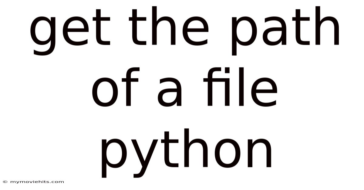 Get The Path Of A File Python