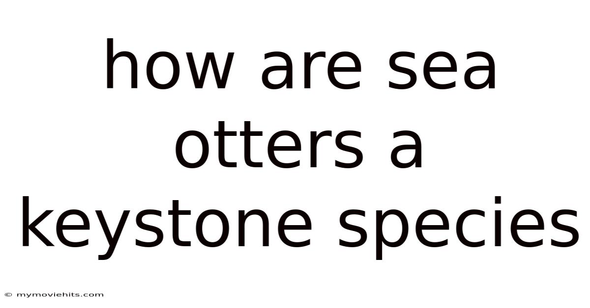 How Are Sea Otters A Keystone Species