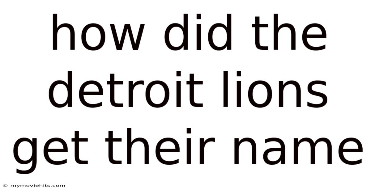 How Did The Detroit Lions Get Their Name