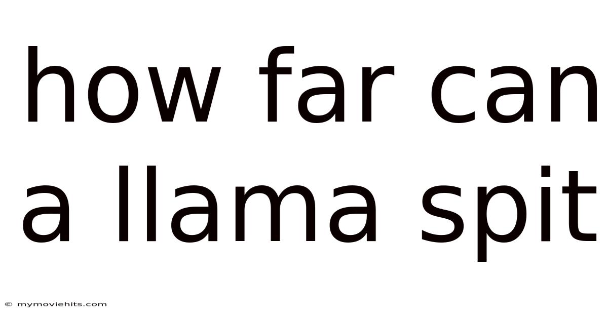 How Far Can A Llama Spit