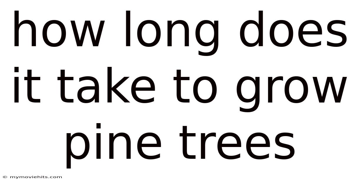 How Long Does It Take To Grow Pine Trees