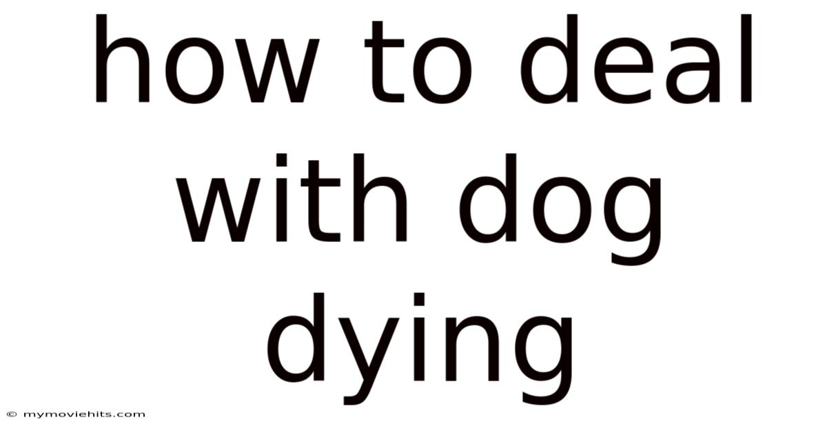 How To Deal With Dog Dying