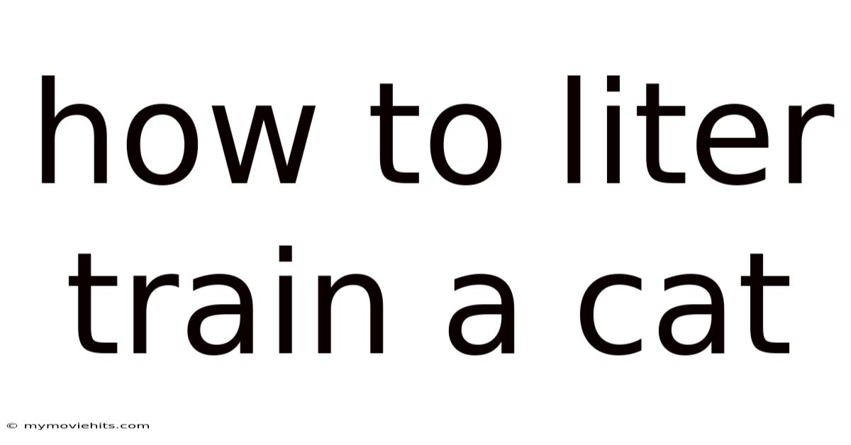 How To Liter Train A Cat