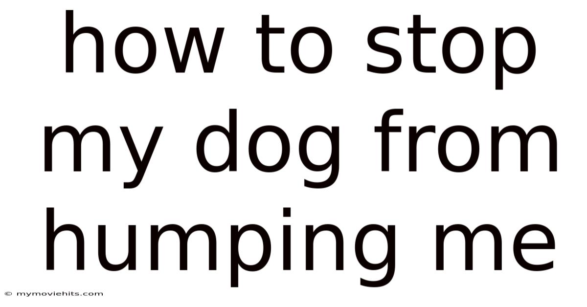 How To Stop My Dog From Humping Me