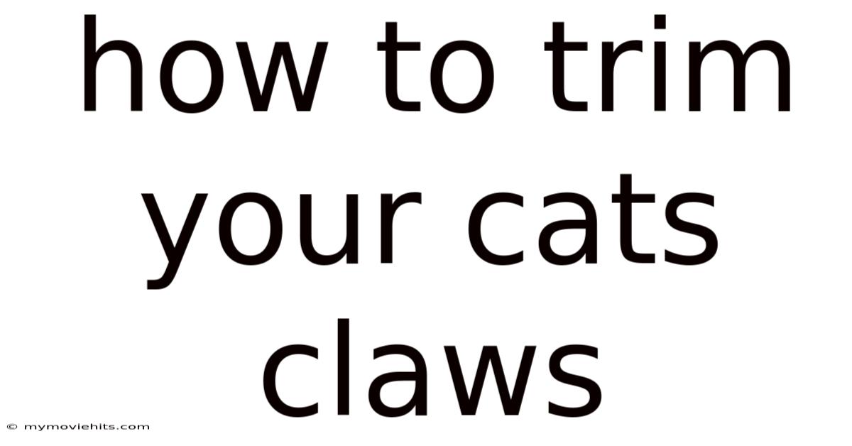 How To Trim Your Cats Claws