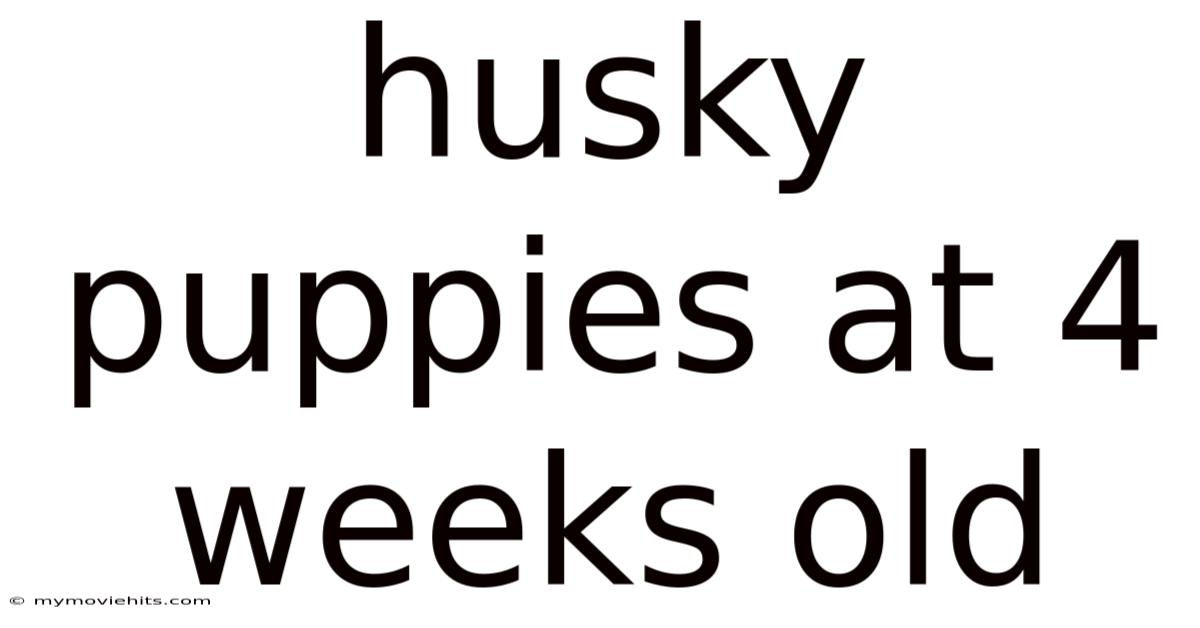 Husky Puppies At 4 Weeks Old