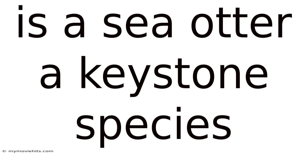 Is A Sea Otter A Keystone Species