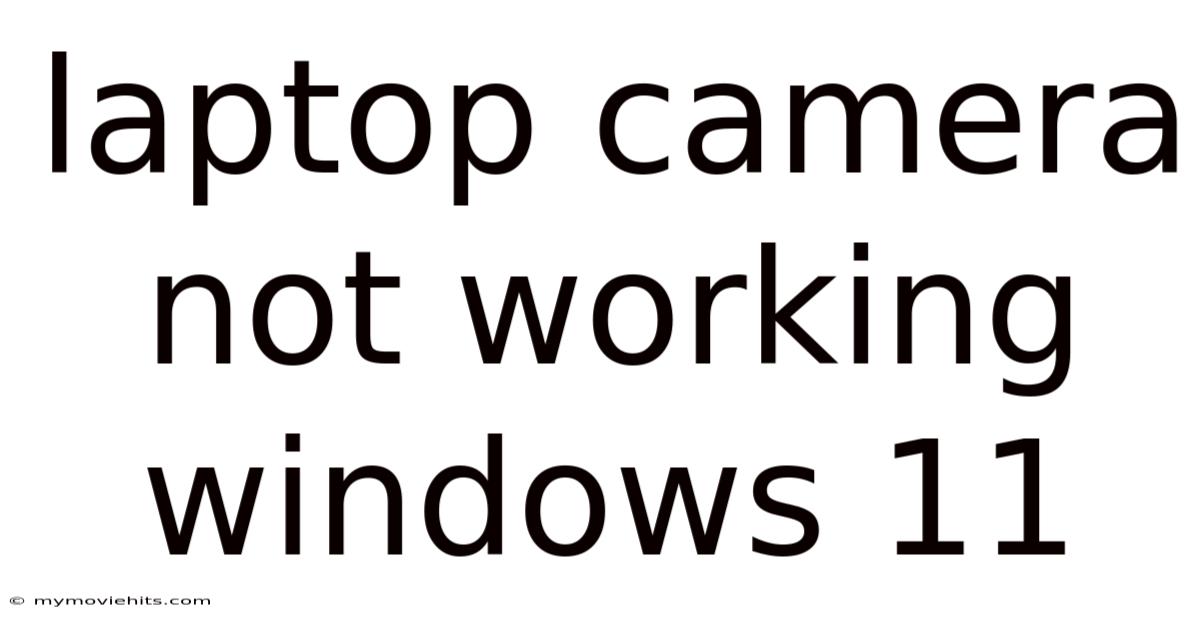 Laptop Camera Not Working Windows 11