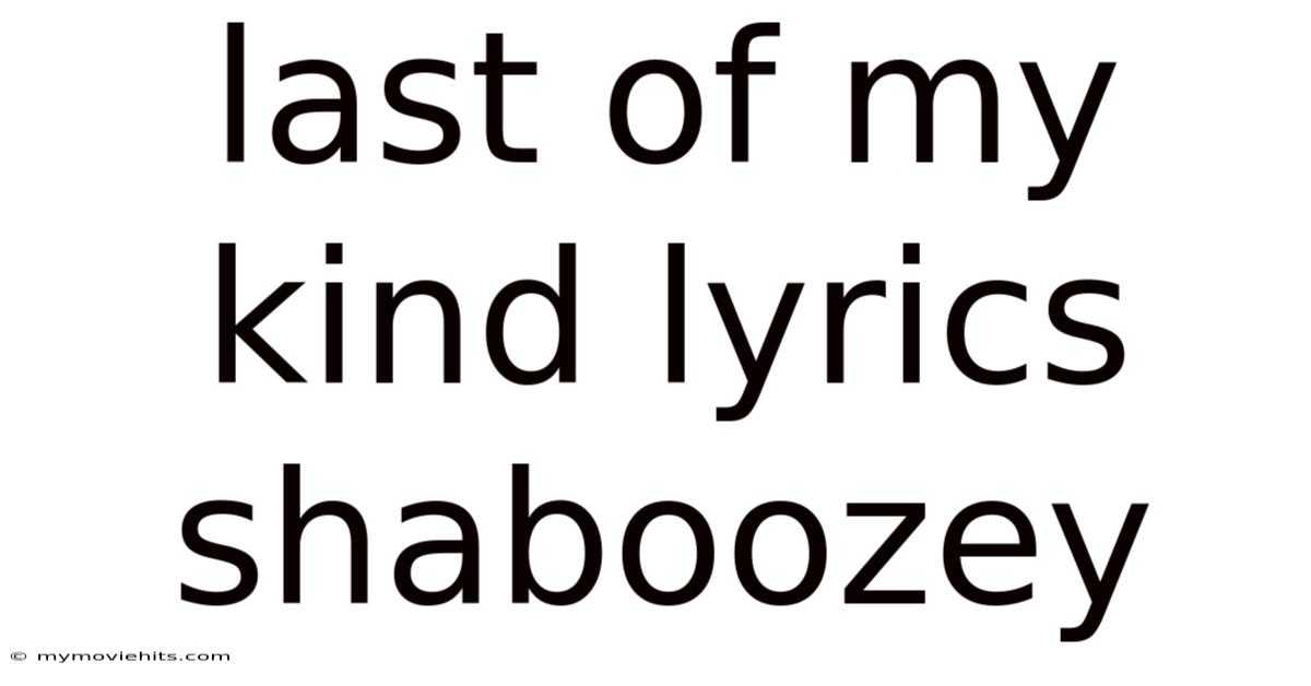 Last Of My Kind Lyrics Shaboozey