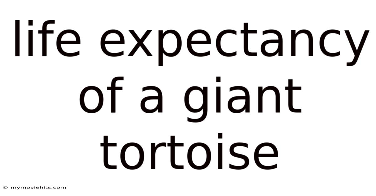 Life Expectancy Of A Giant Tortoise