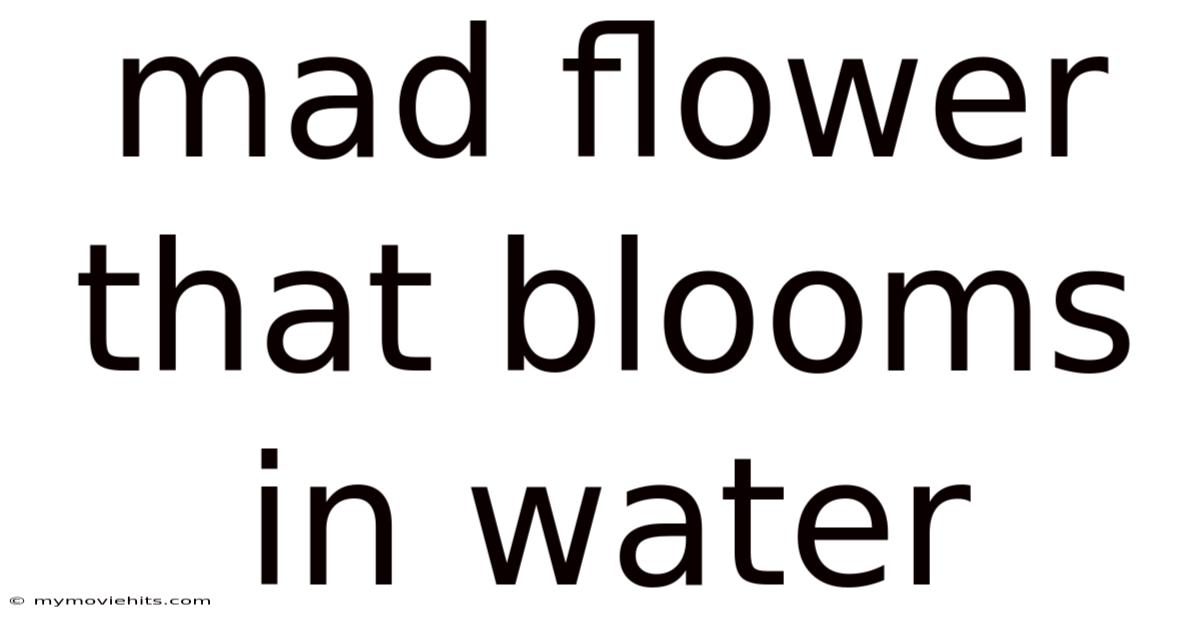 Mad Flower That Blooms In Water