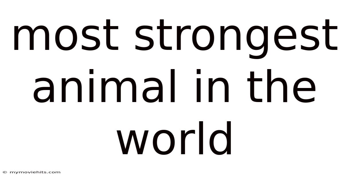 Most Strongest Animal In The World
