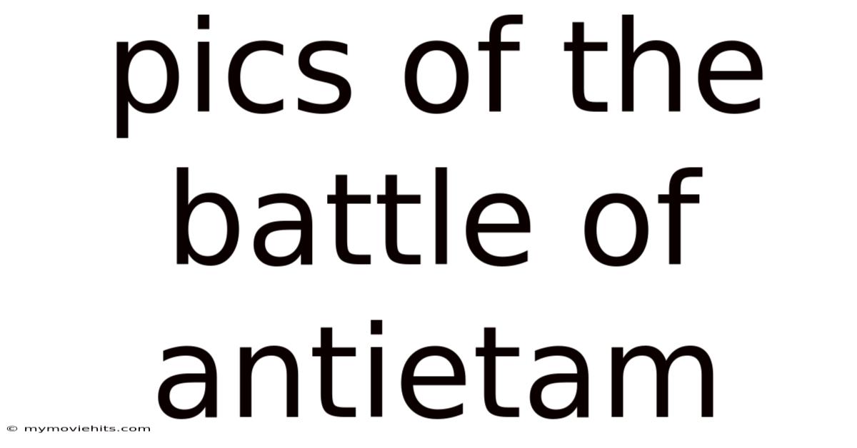 Pics Of The Battle Of Antietam