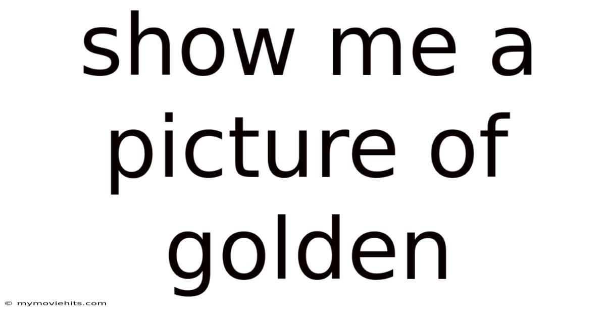 Show Me A Picture Of Golden