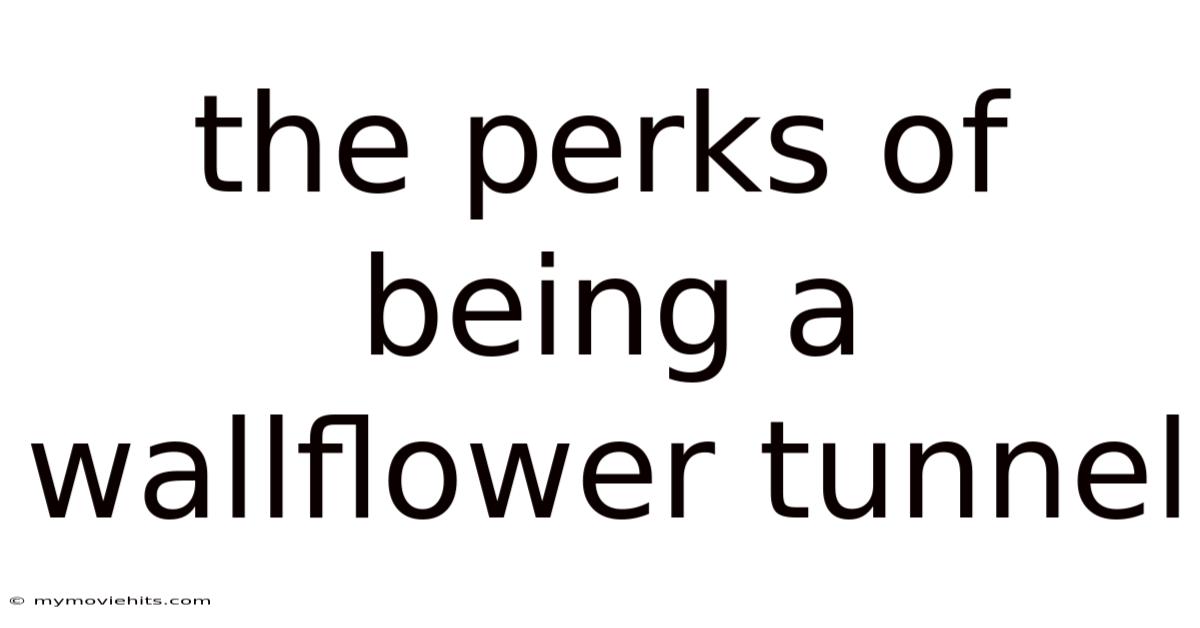 The Perks Of Being A Wallflower Tunnel