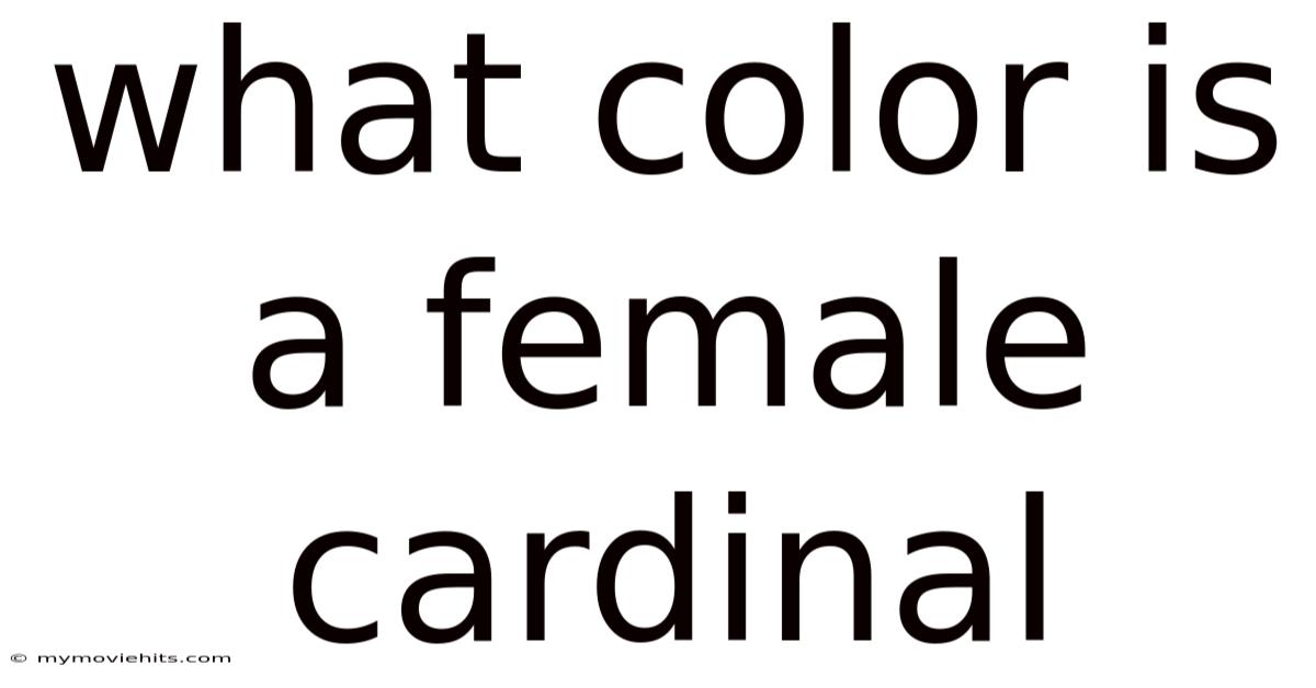 What Color Is A Female Cardinal