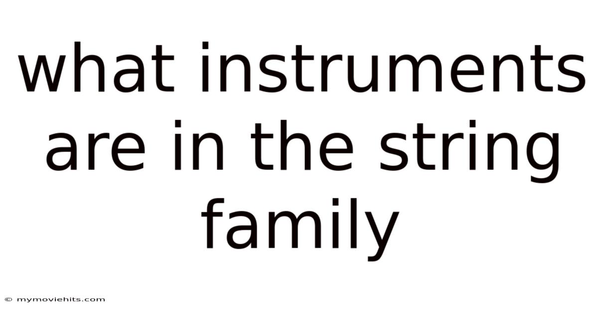 What Instruments Are In The String Family