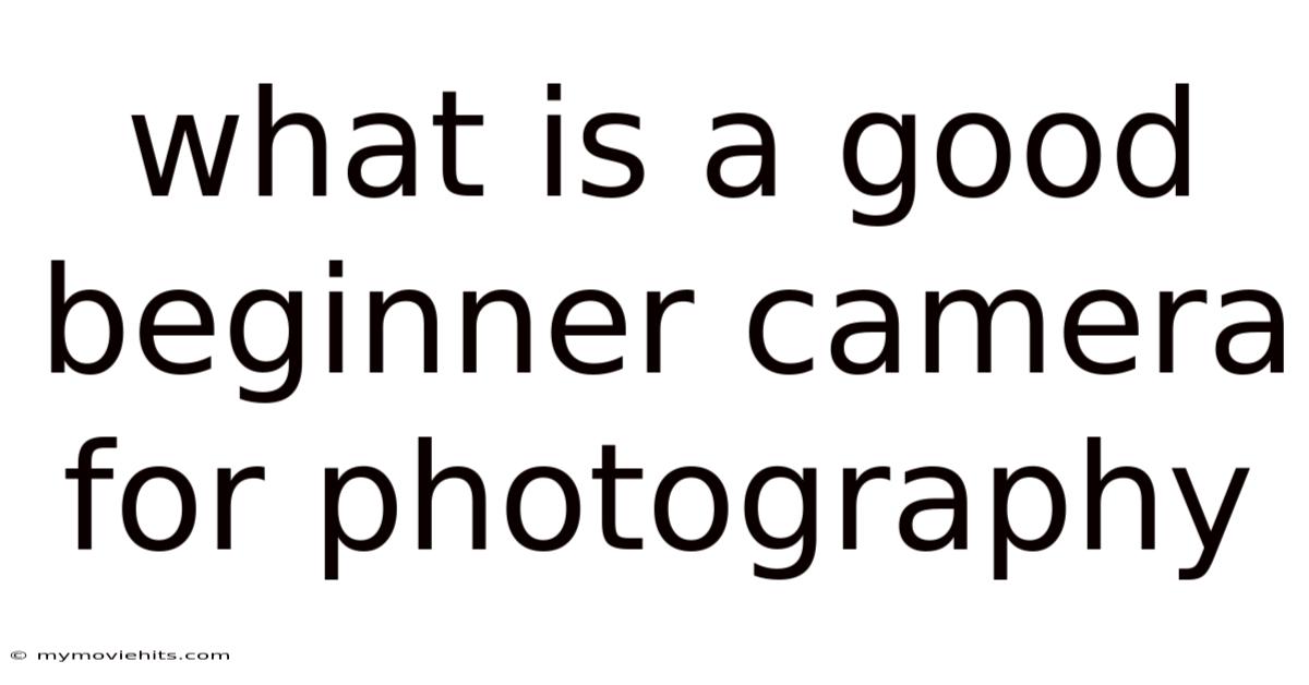 What Is A Good Beginner Camera For Photography