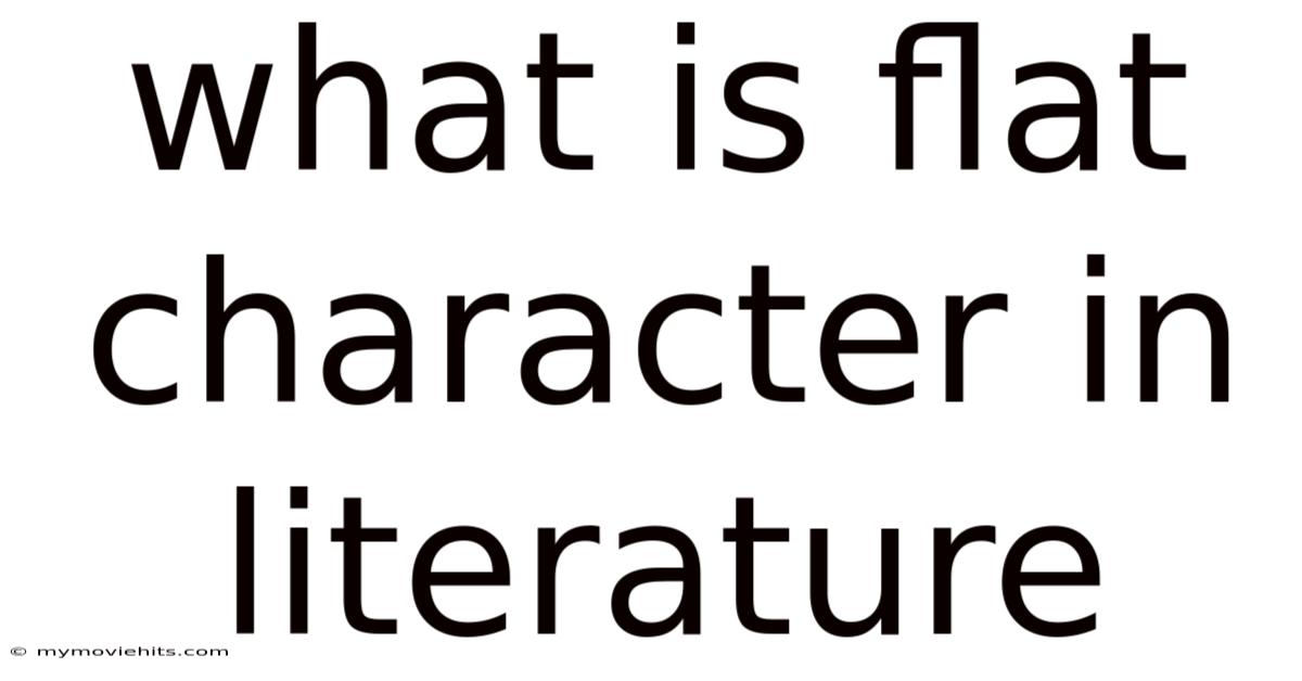 What Is Flat Character In Literature