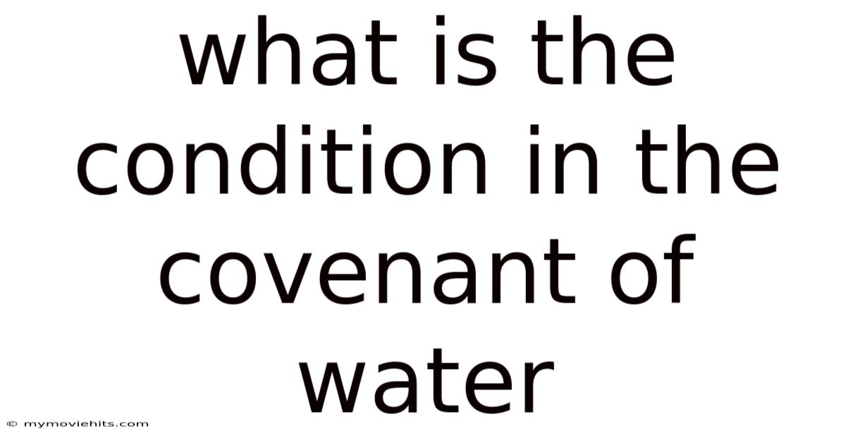 What Is The Condition In The Covenant Of Water