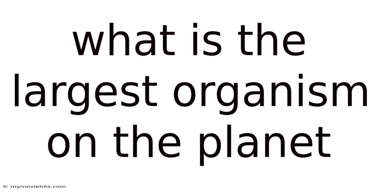 What Is The Largest Organism On The Planet