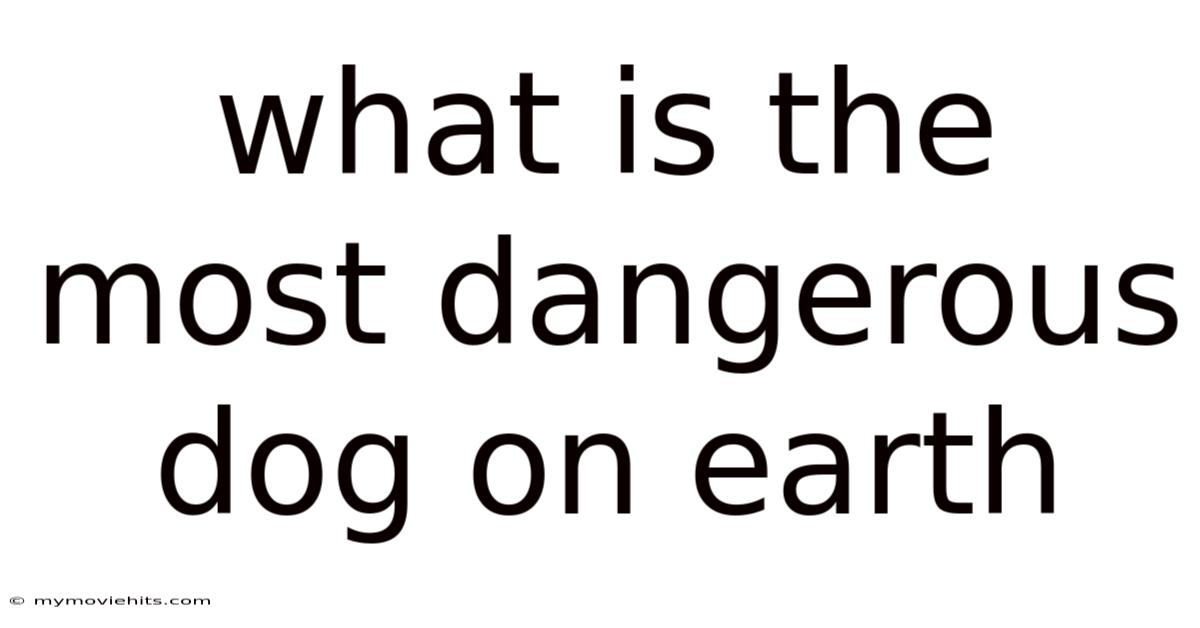 What Is The Most Dangerous Dog On Earth