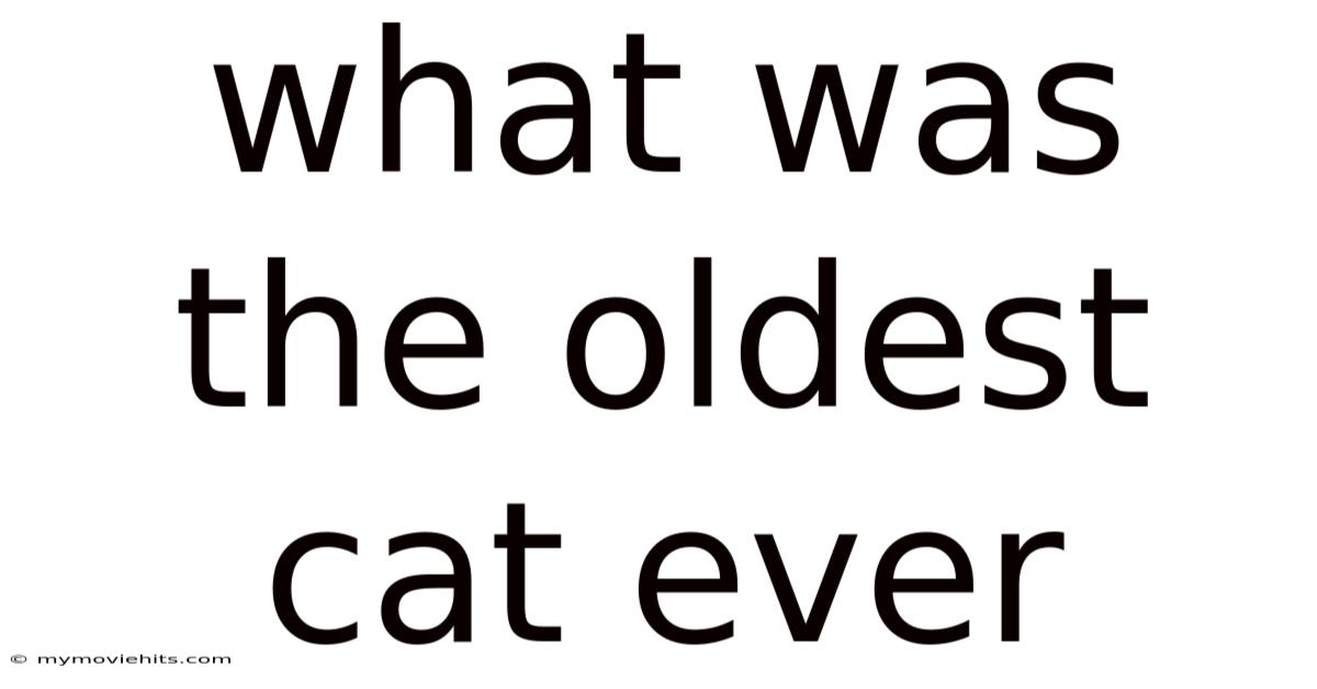 What Was The Oldest Cat Ever