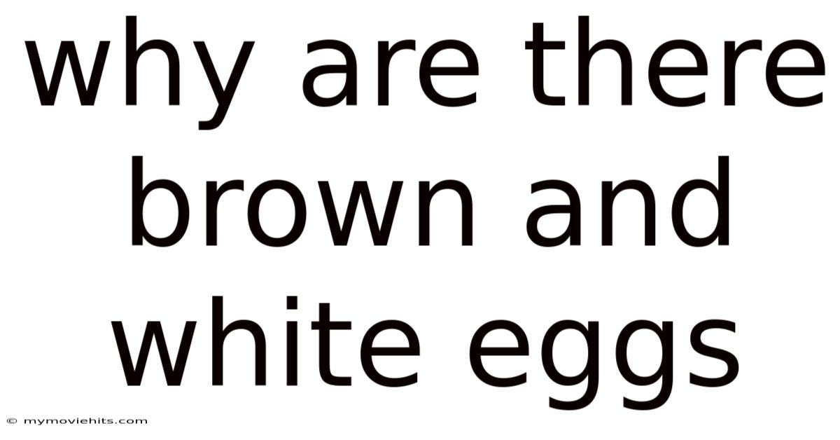 Why Are There Brown And White Eggs