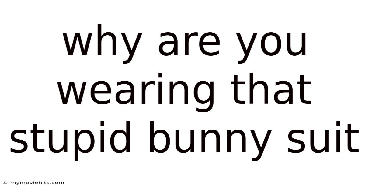 Why Are You Wearing That Stupid Bunny Suit