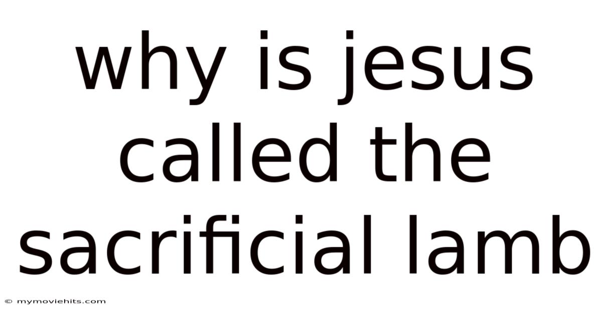 Why Is Jesus Called The Sacrificial Lamb